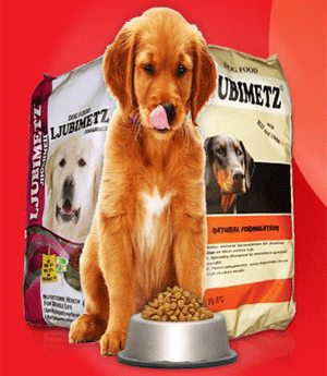 on line pet shop